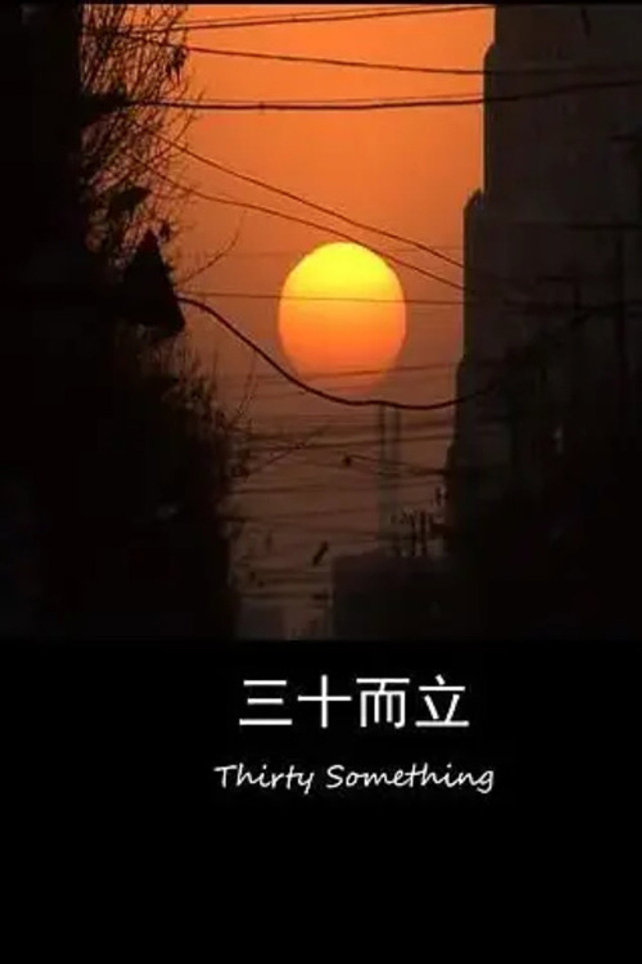 三十而立 filmaffisch
