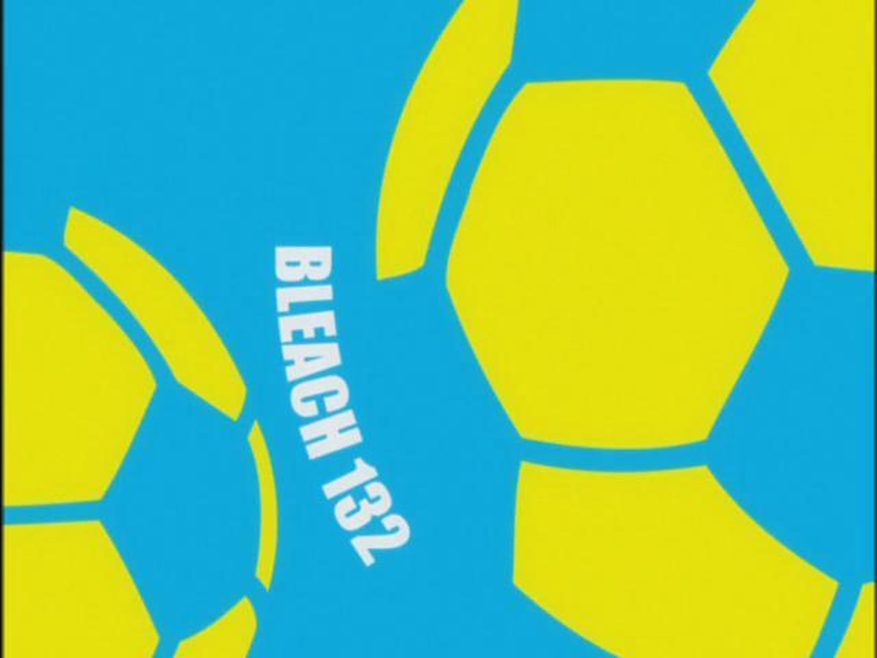 Bleach - Season 1 Episode 132 : Hitsugaya, Karin, and Soccer Ball