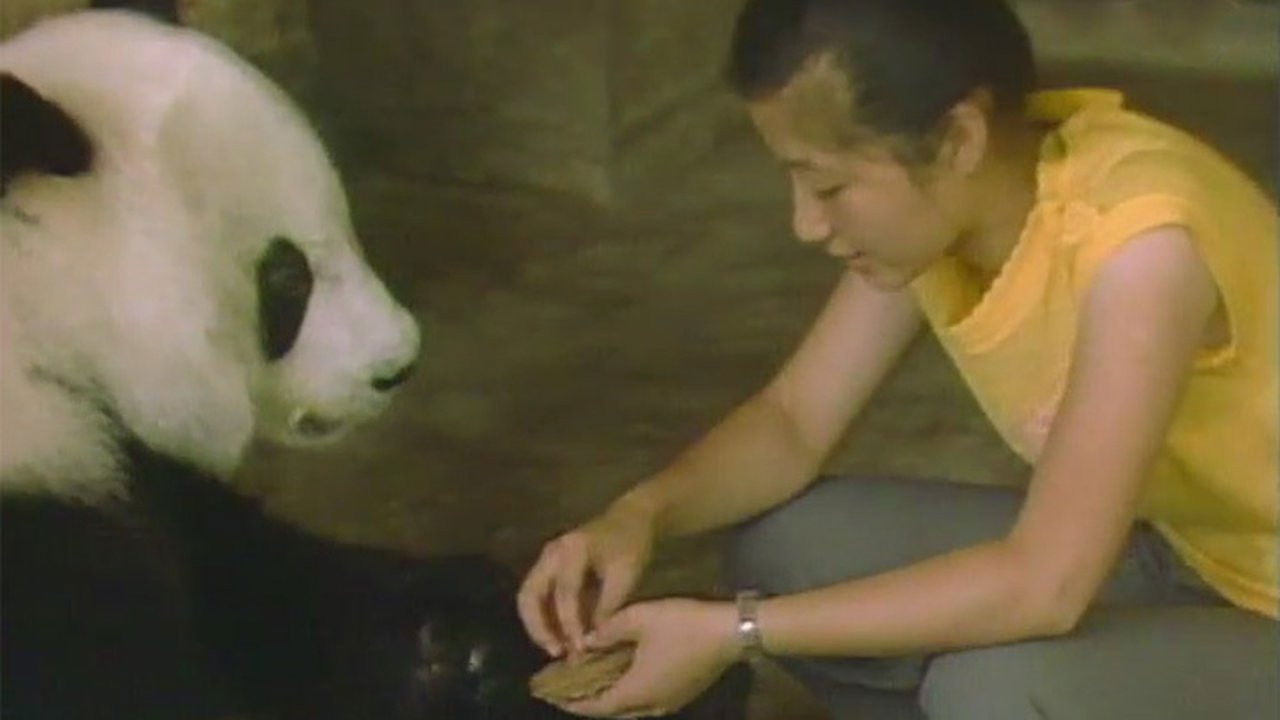 大江南北 — Épisode 12