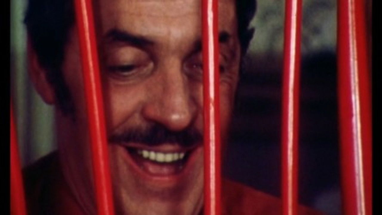 Minichronique — Le Bricolage