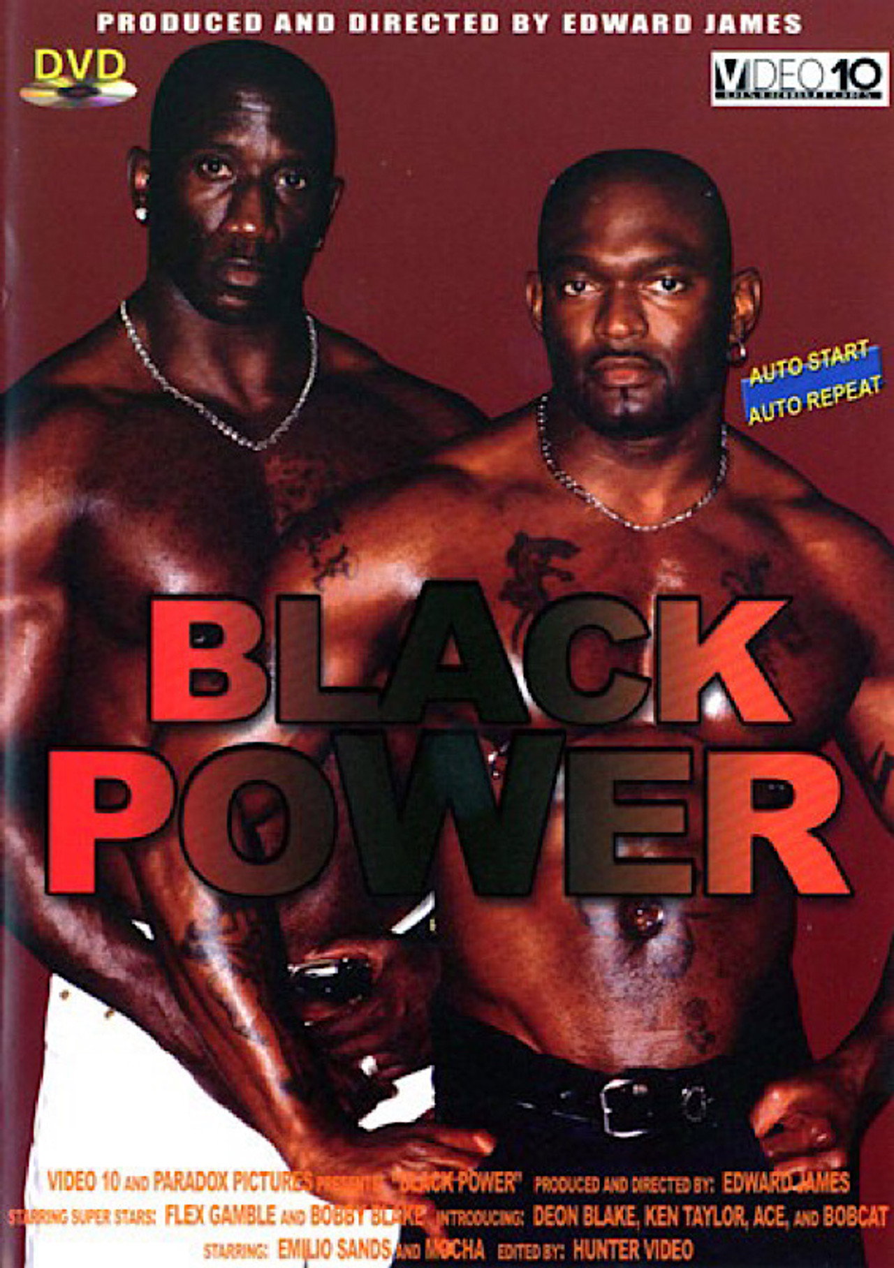 Black Power filmaffisch