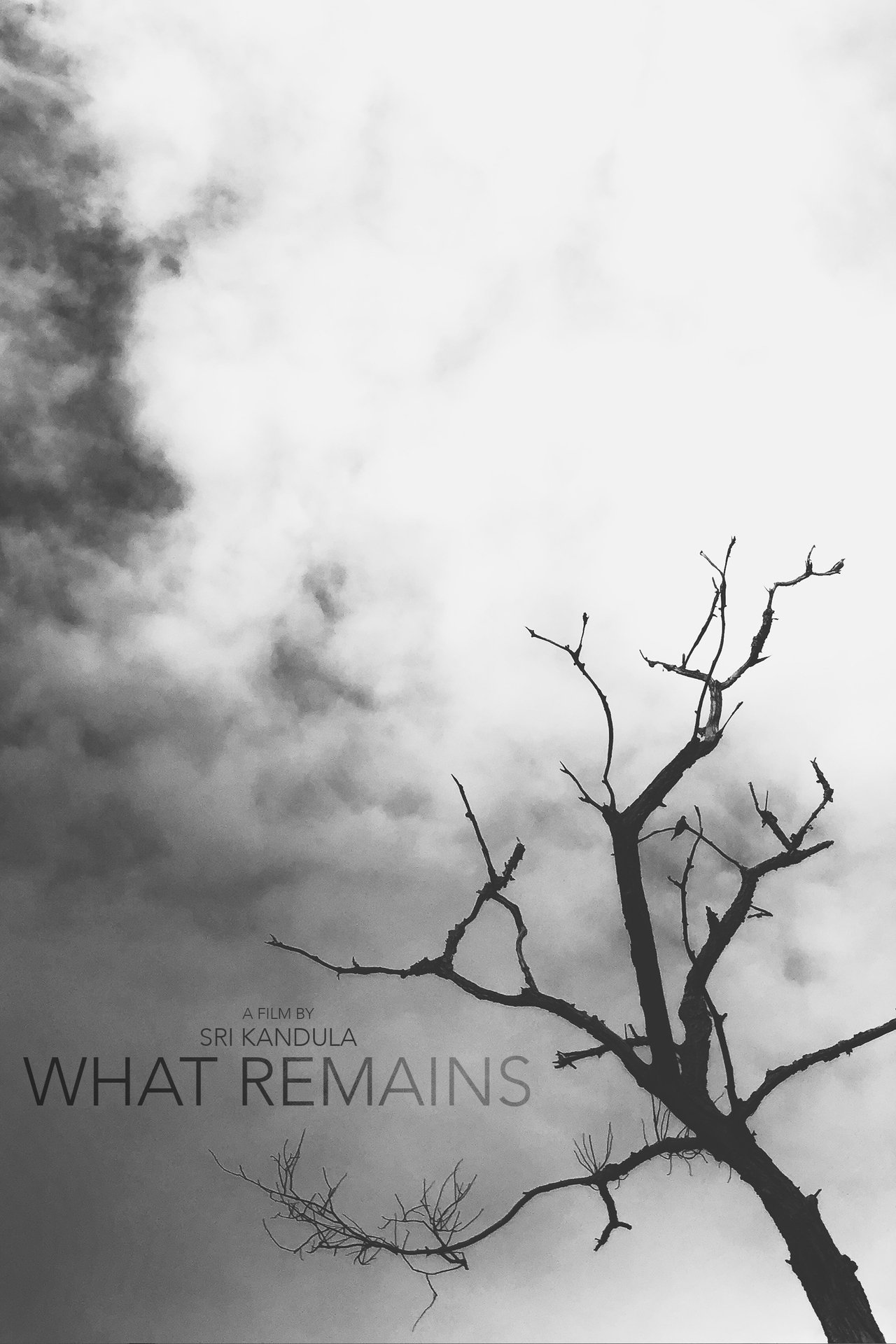 What Remains