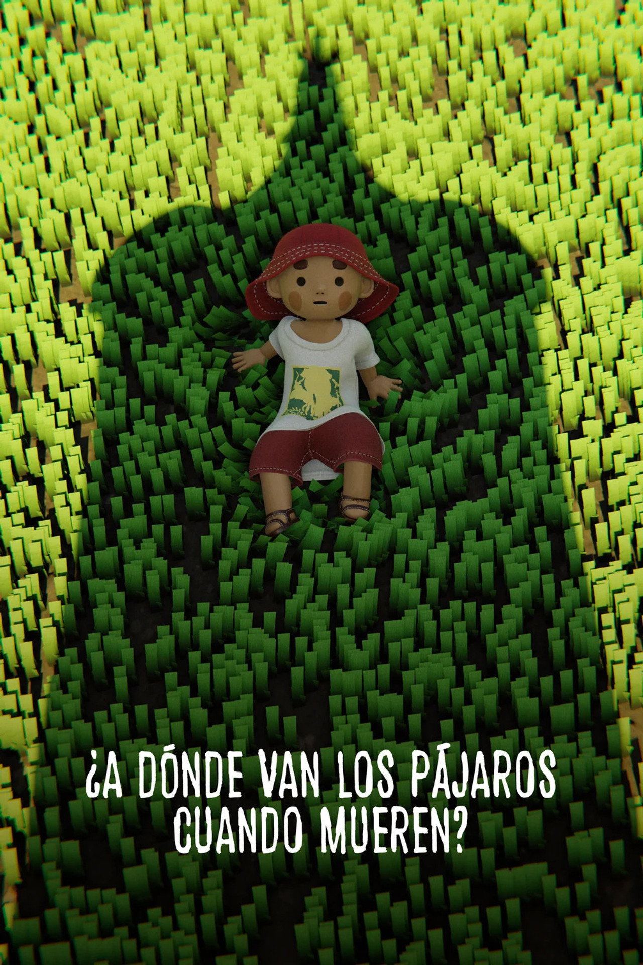 ¿A dónde van los pájaros cuando mueren?