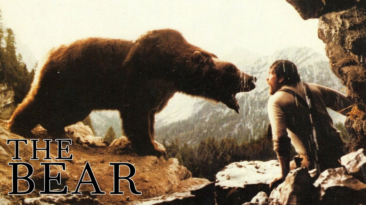 L'Ours background