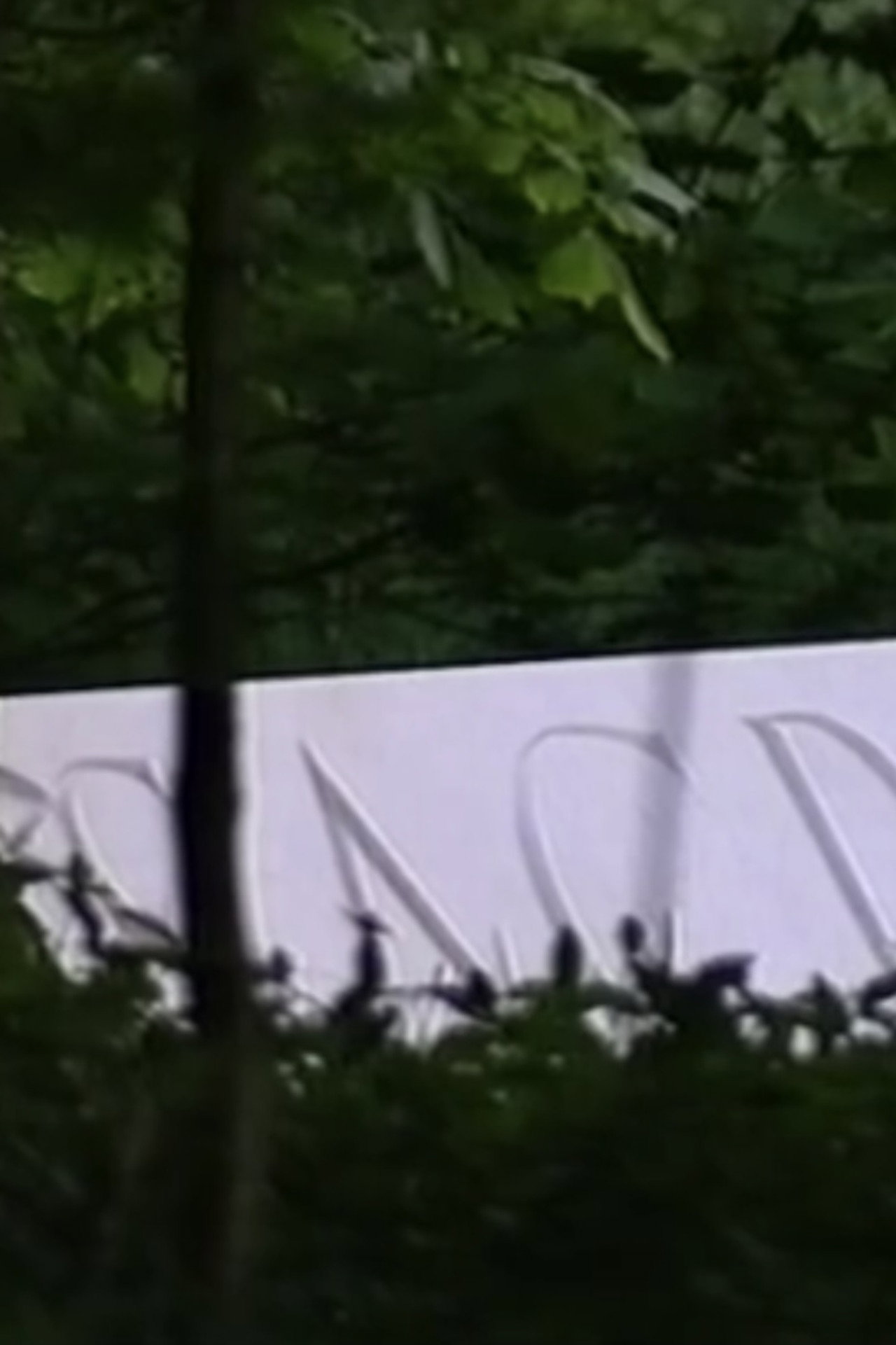 In Stillness and in Silence (Sacred) Backdrop