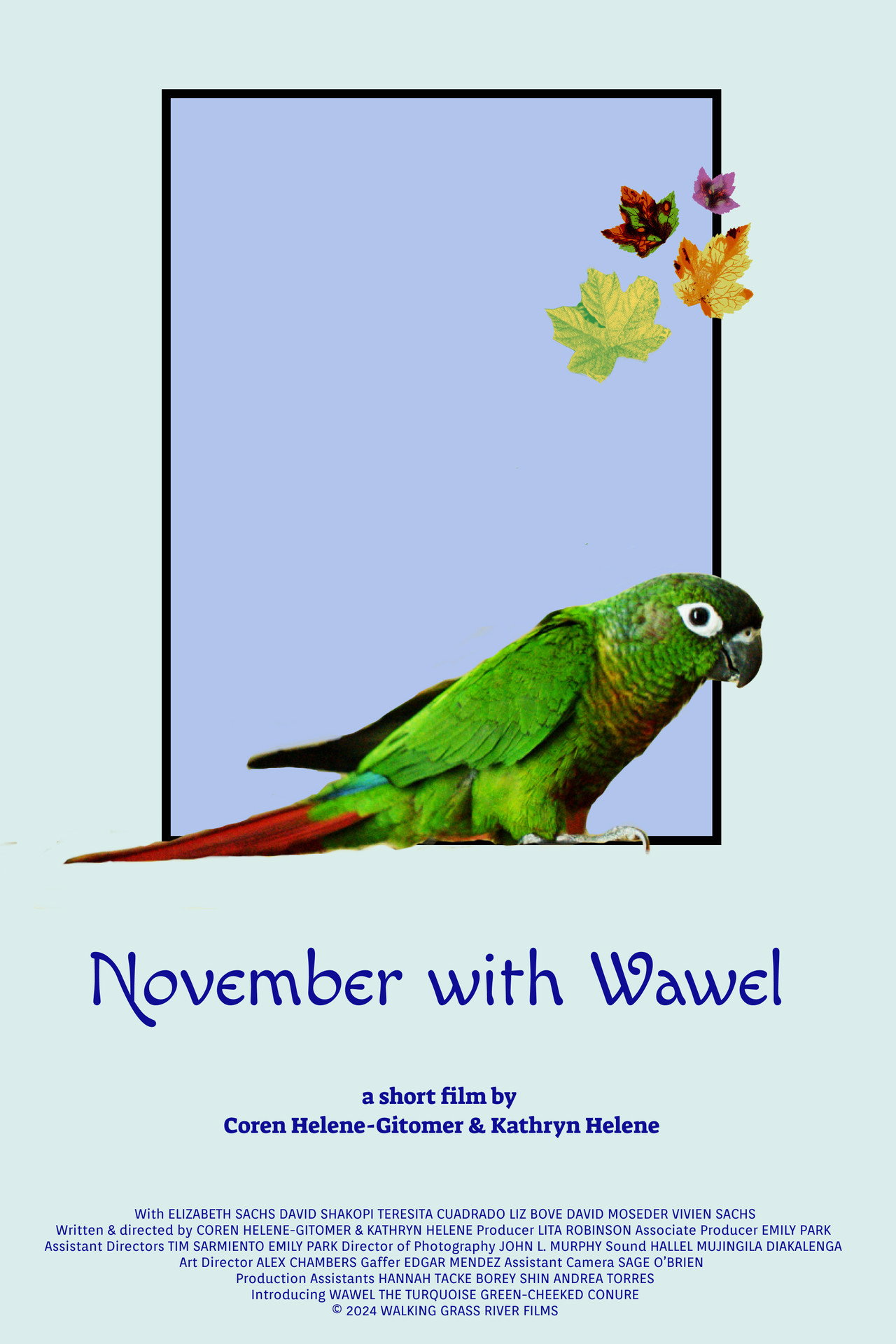 November with Wawel Backdrop