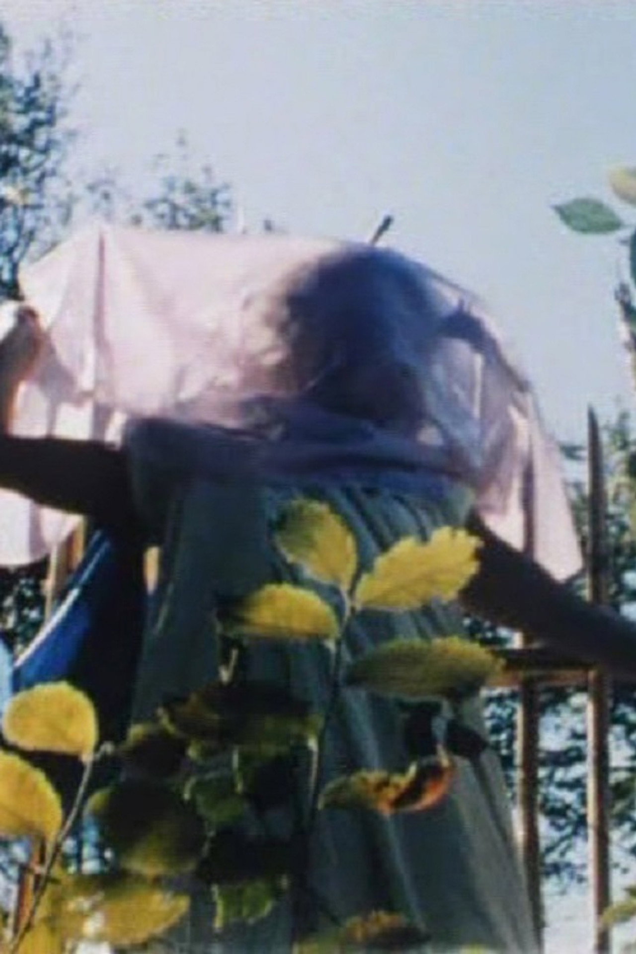 Anna-Stina Ehrenfeldt målare filmaffisch