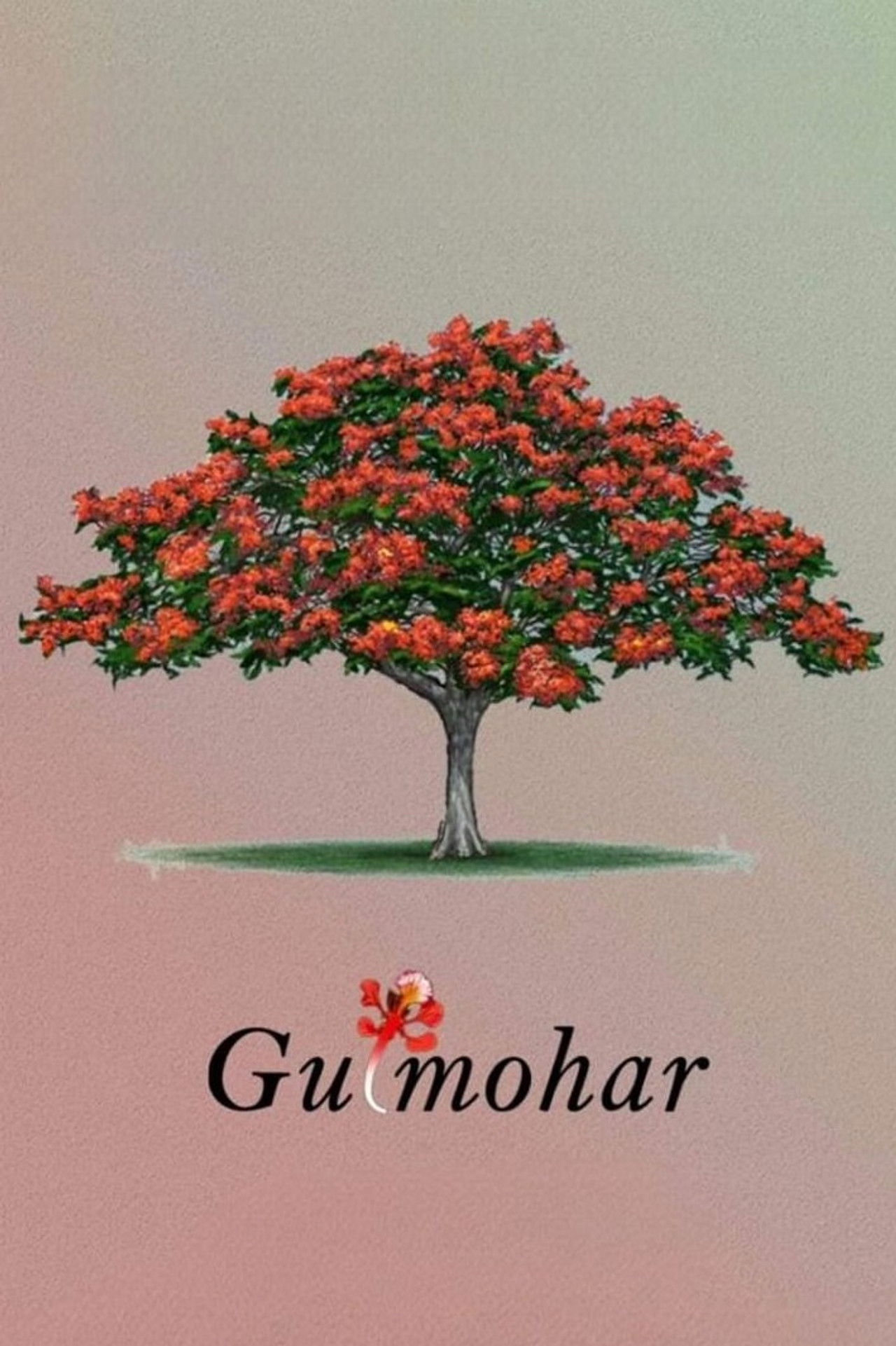Gulmohar filmaffisch