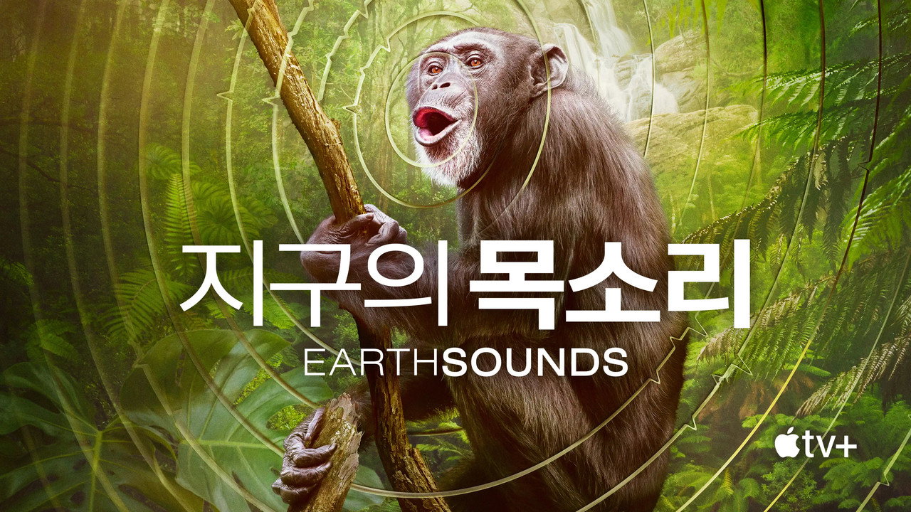 Earthsounds still 6