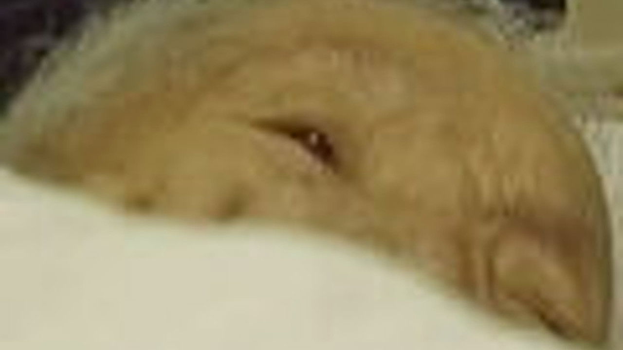 传奇故事 — Épisode 9