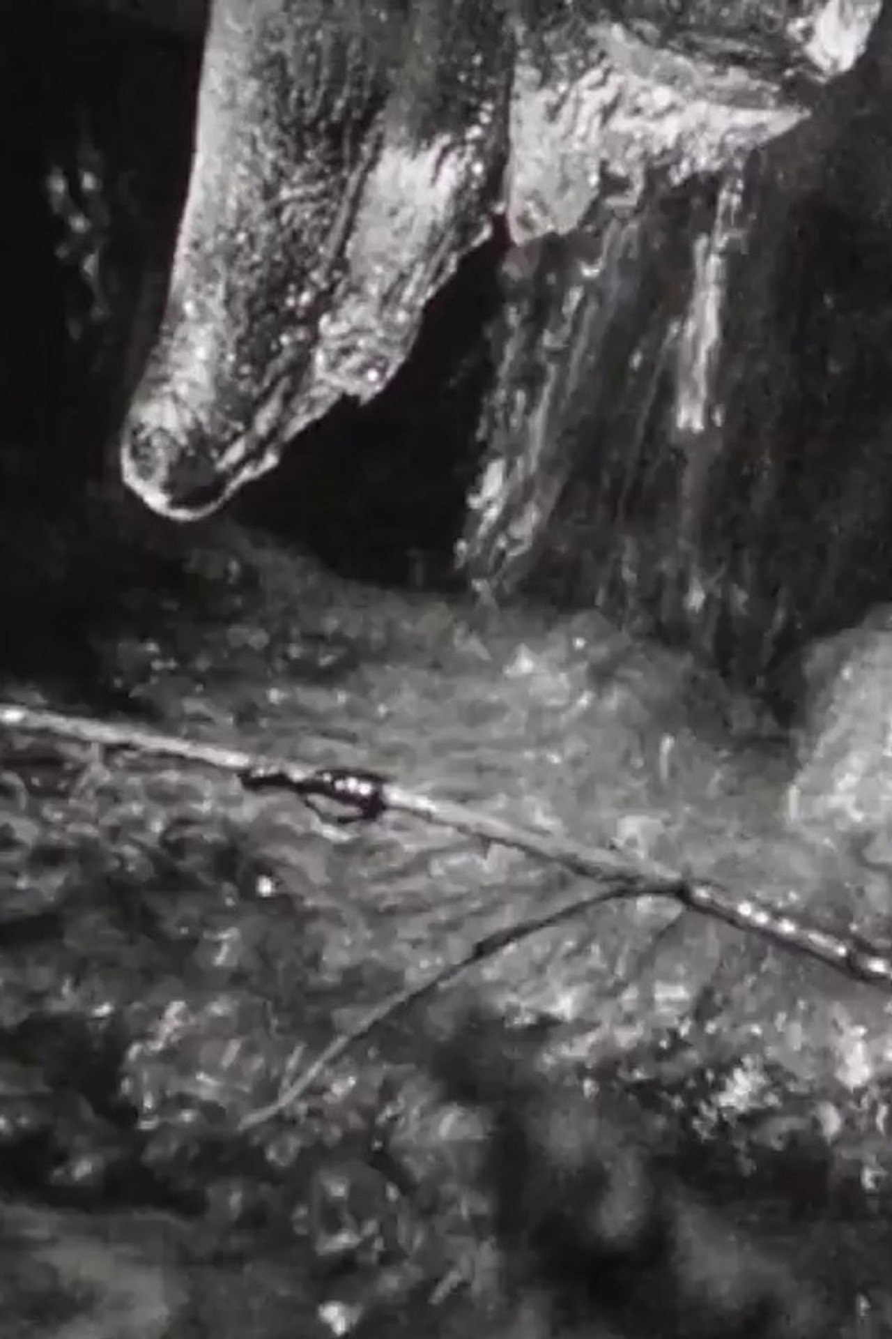 The River Flows to the Sea filmaffisch