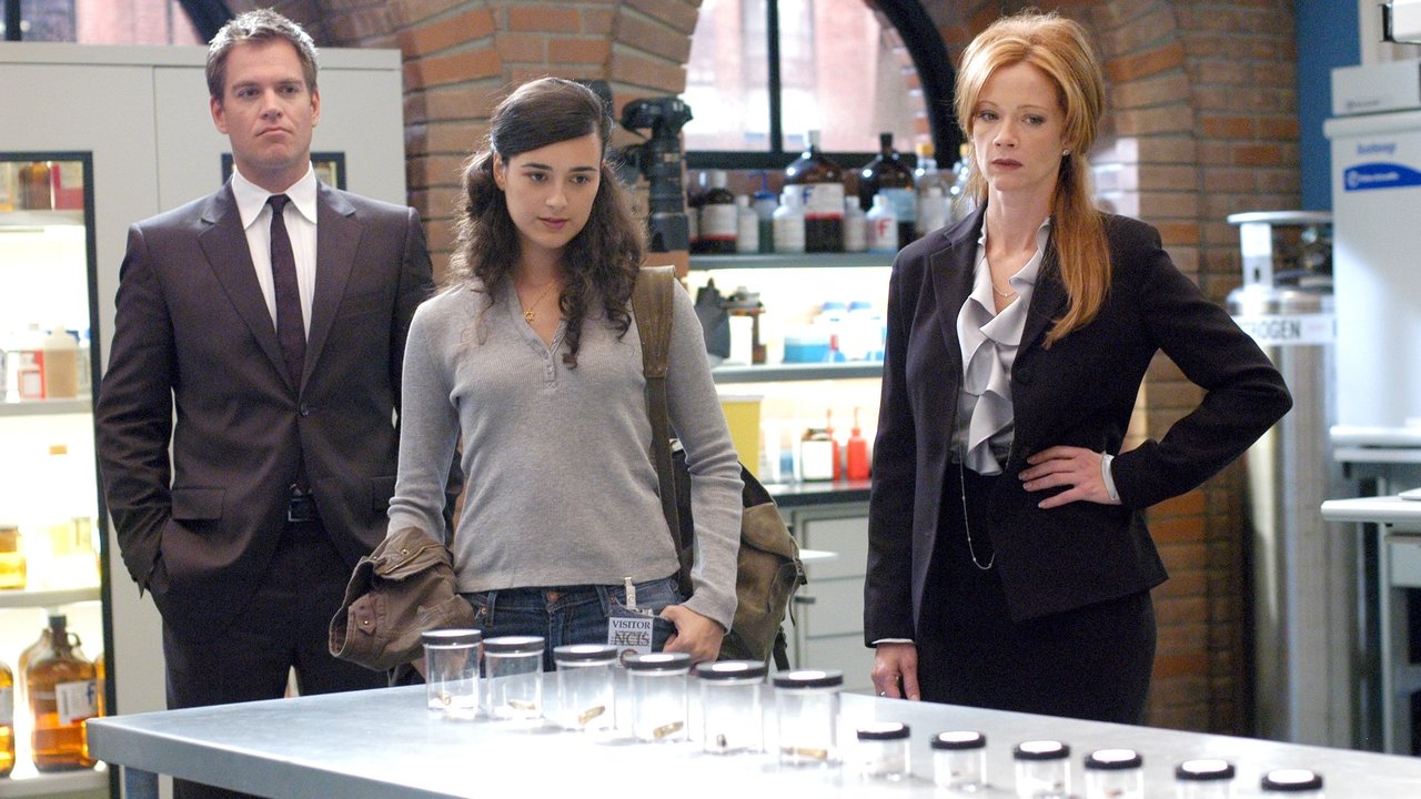 NCIS - Season 3 Episode 2 : Kill Ari (2)