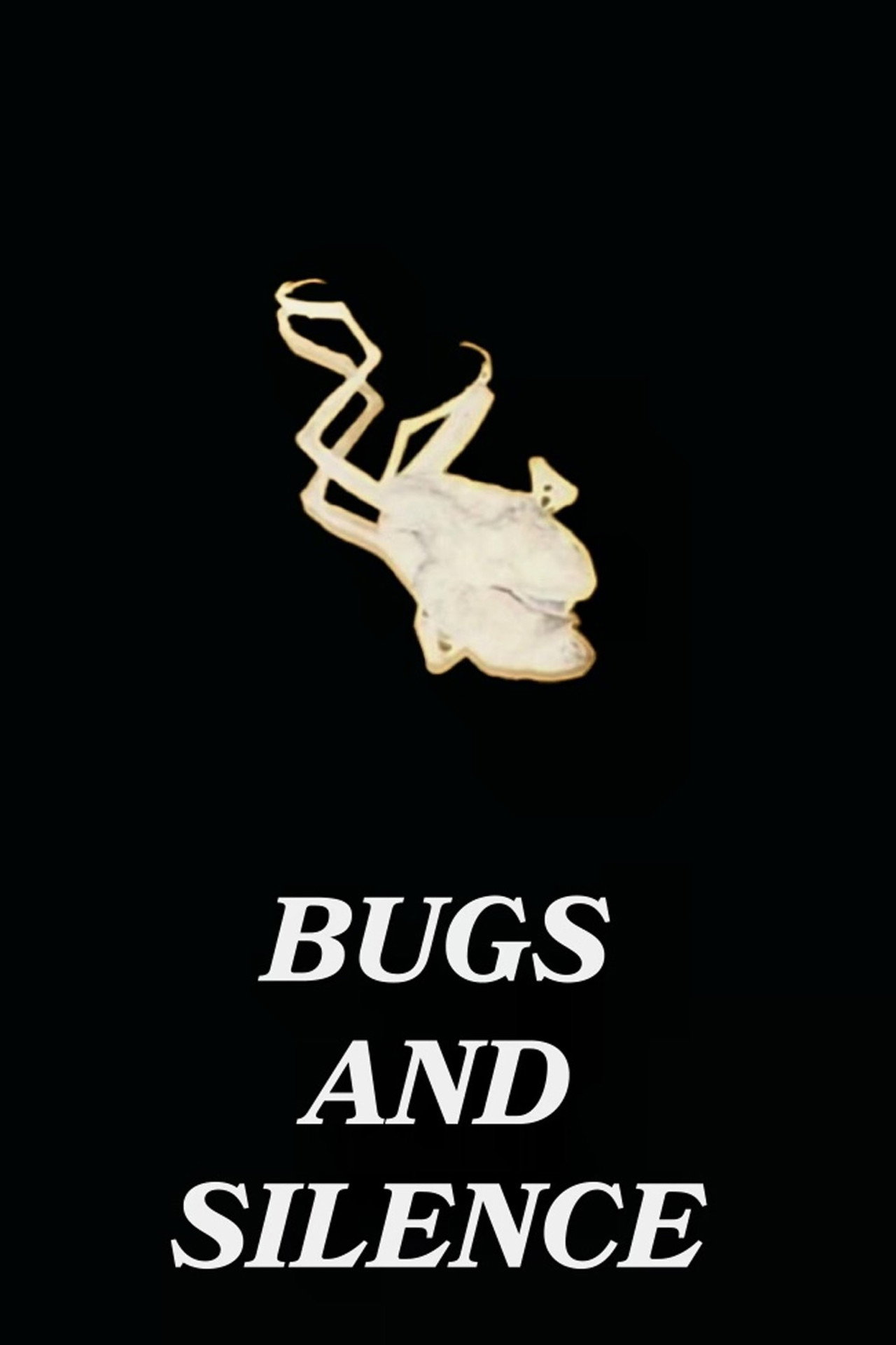 Bugs and Silence Backdrop