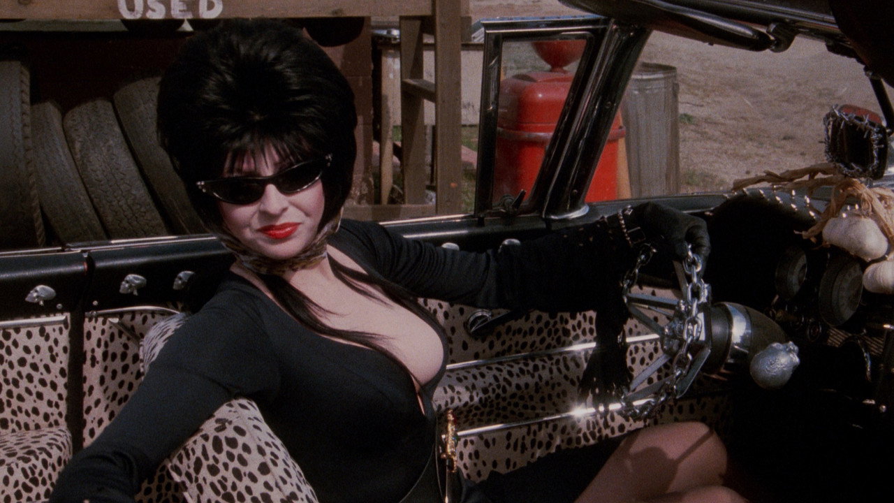 Elvira: Mistress of the Dark background 117