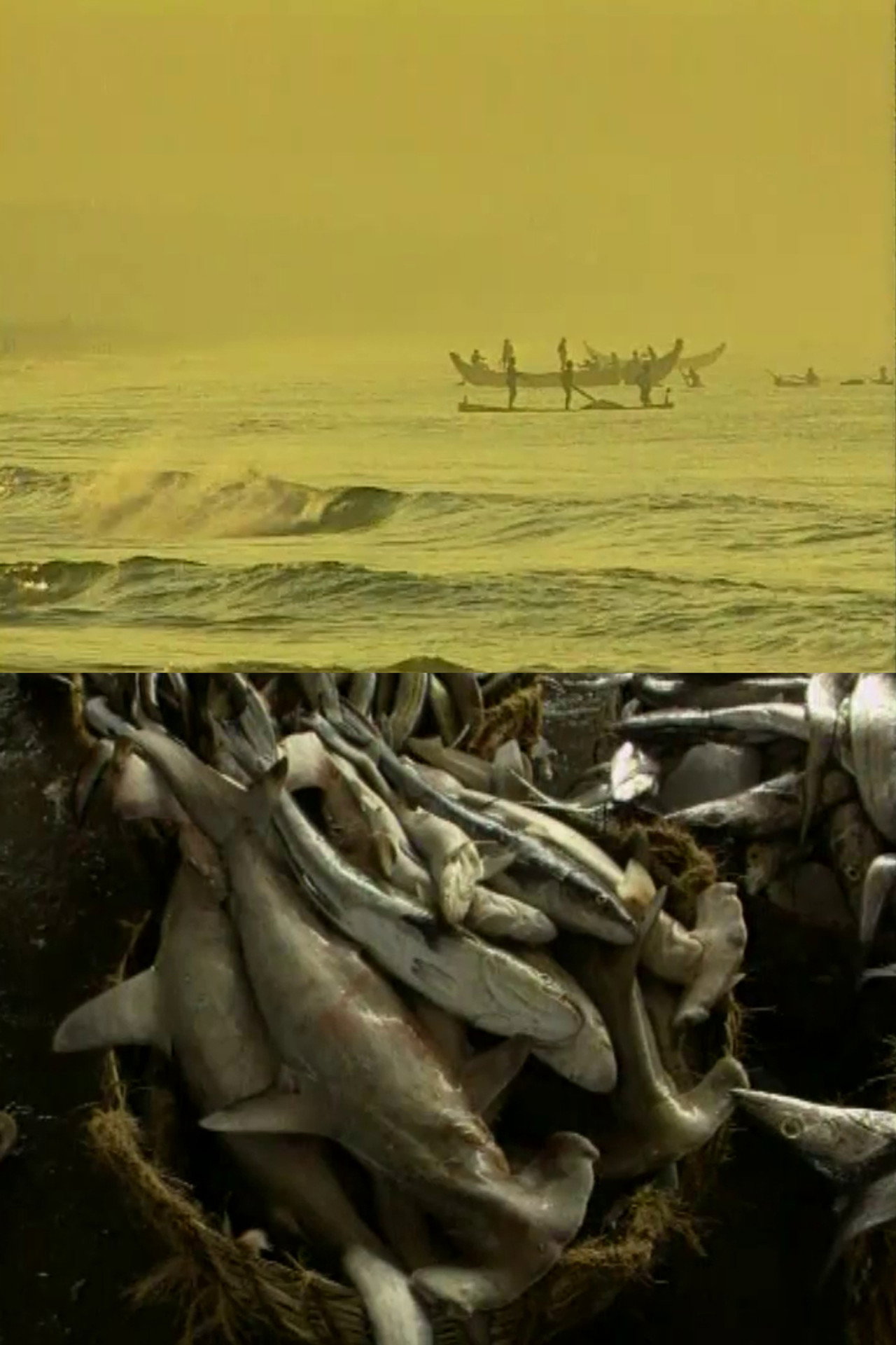 Fish Tales filmaffisch
