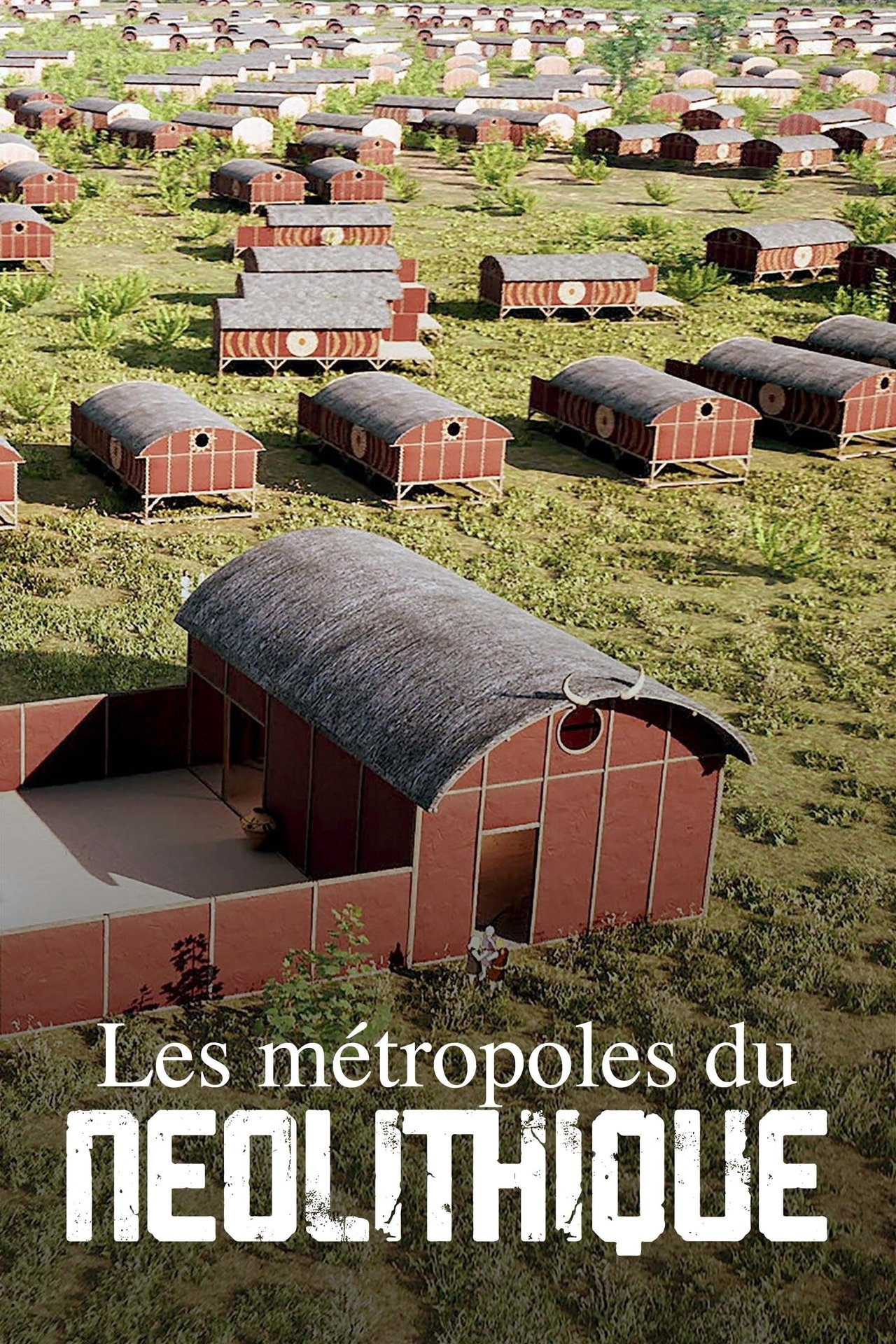 Les Métropoles du Néolithique poster