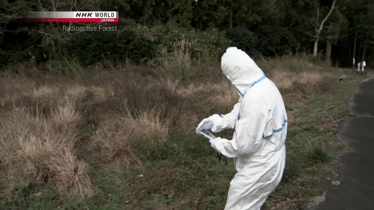 Radioactive Forest background