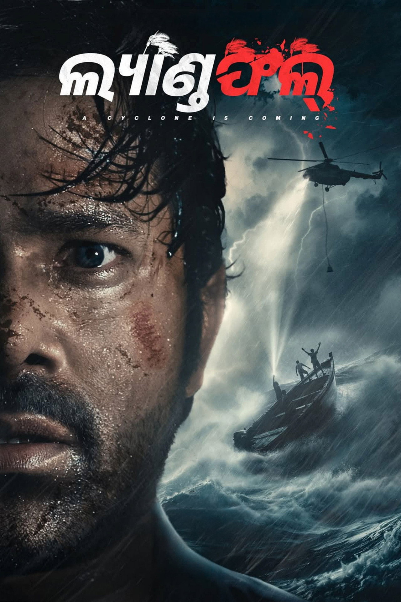 ଲ୍ୟାଣ୍ଡଫଲ୍ filmaffisch