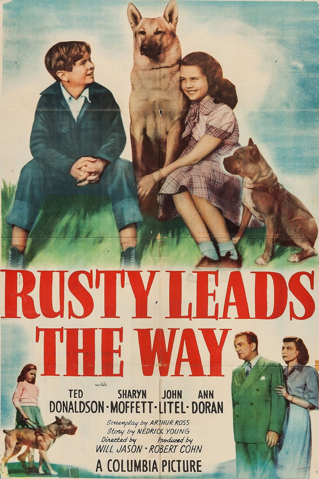 Rusty Leads the Way Backdrop