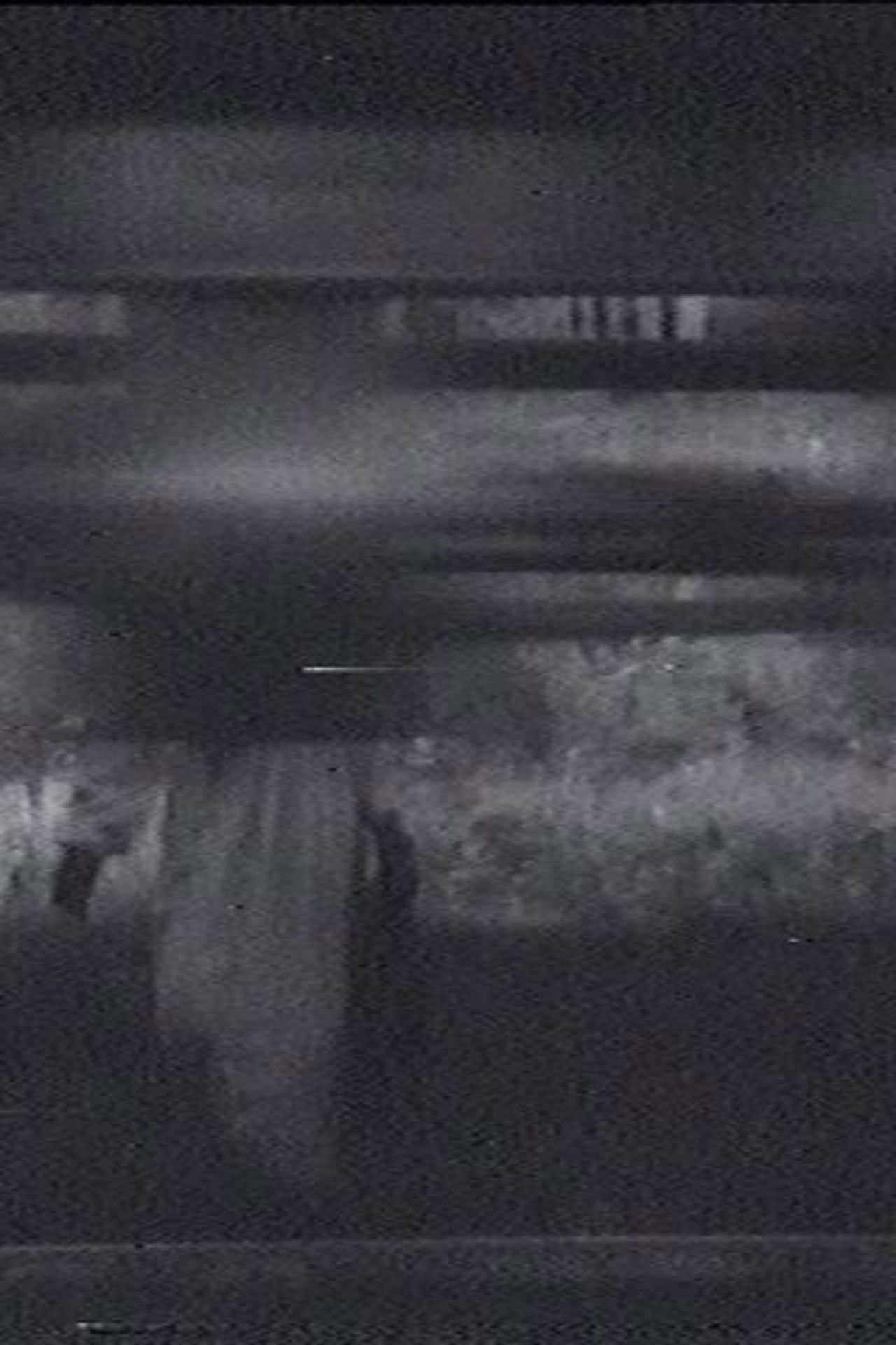 The Sparrow Backdrop