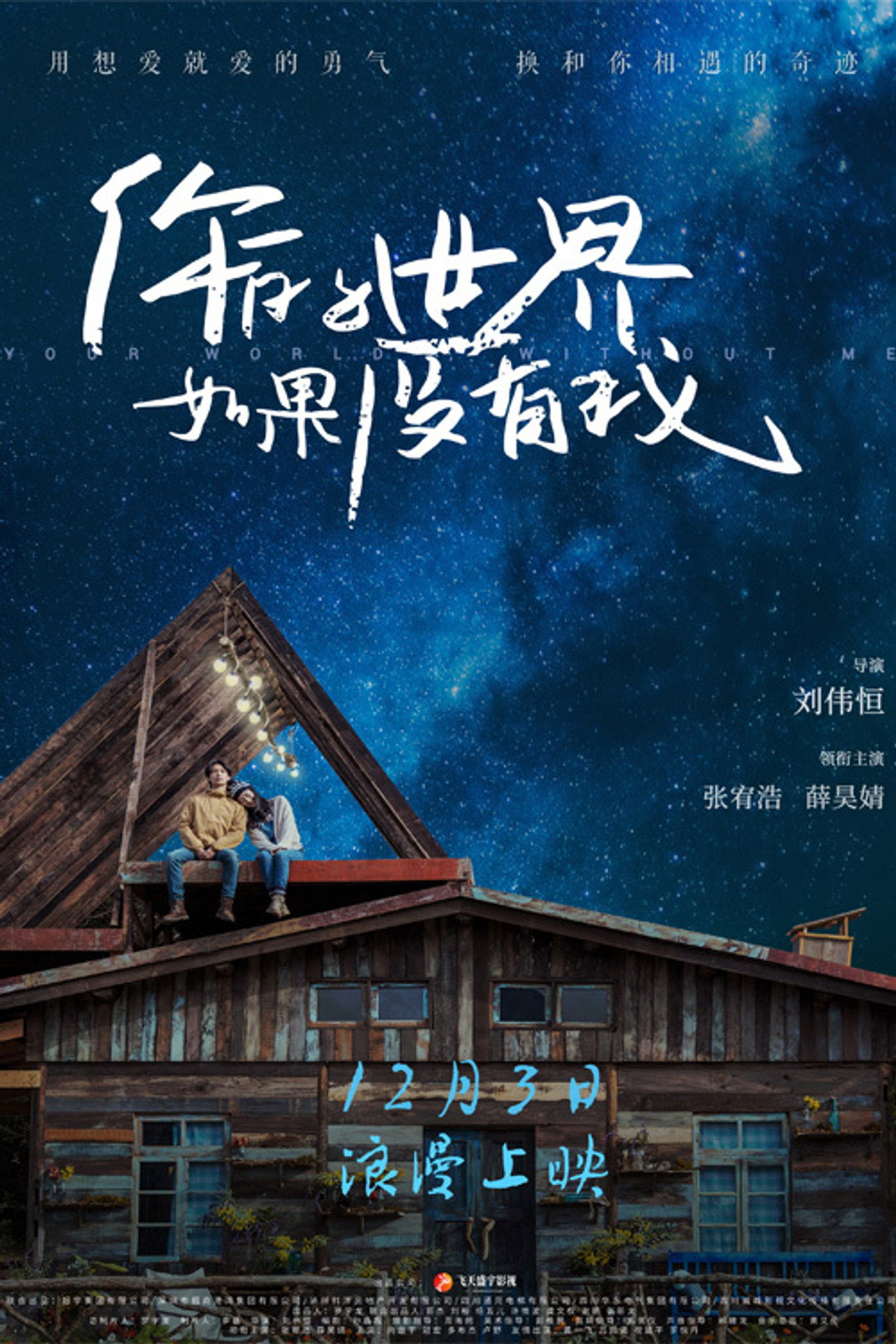 你的世界如果没有我 filmaffisch