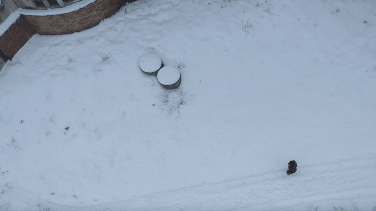 Новая Битва Экстрасенсов — Épisode - 12