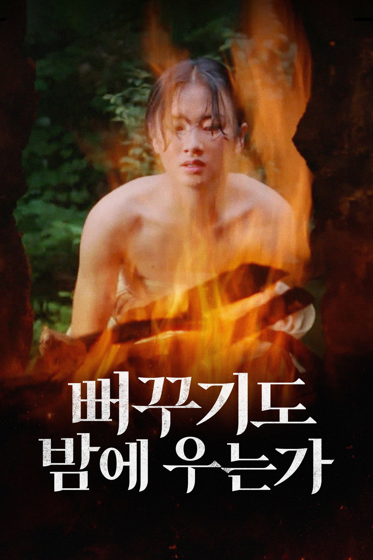 뻐꾸기도 밤에 우는가 filmaffisch