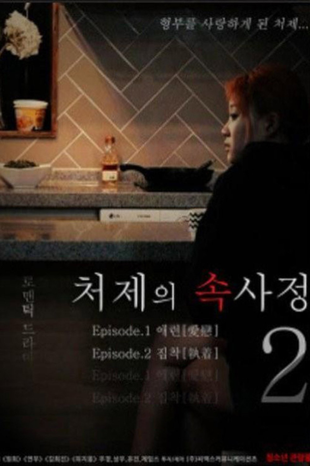처제의 속사정2 filmaffisch
