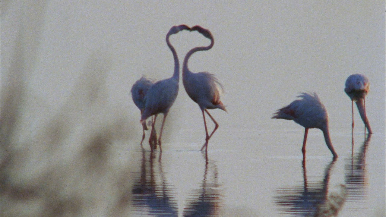 La Grande Bellezza - Vite segrete e luoghi nascosti d'Italia — Épisode 5