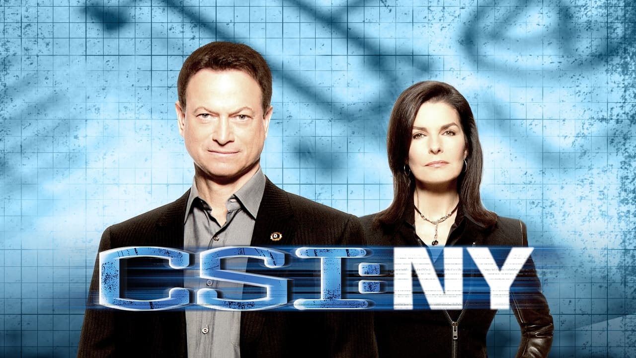 CSI: NY - Season 5