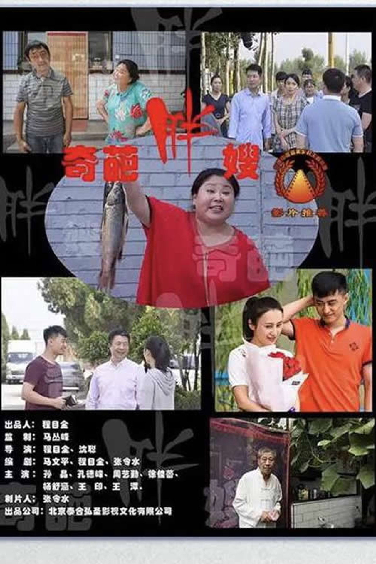 奇葩胖嫂 filmaffisch