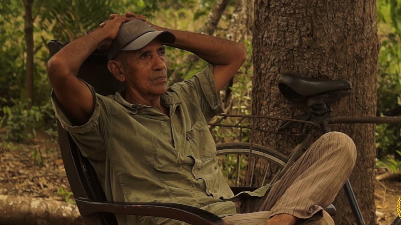 En búsqueda del cantautor desconocido (2025)