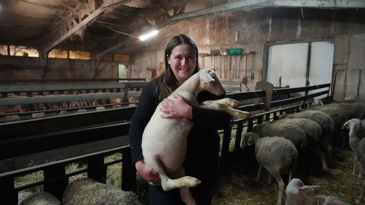 ARTE Regards — Paysans, passer la main ?