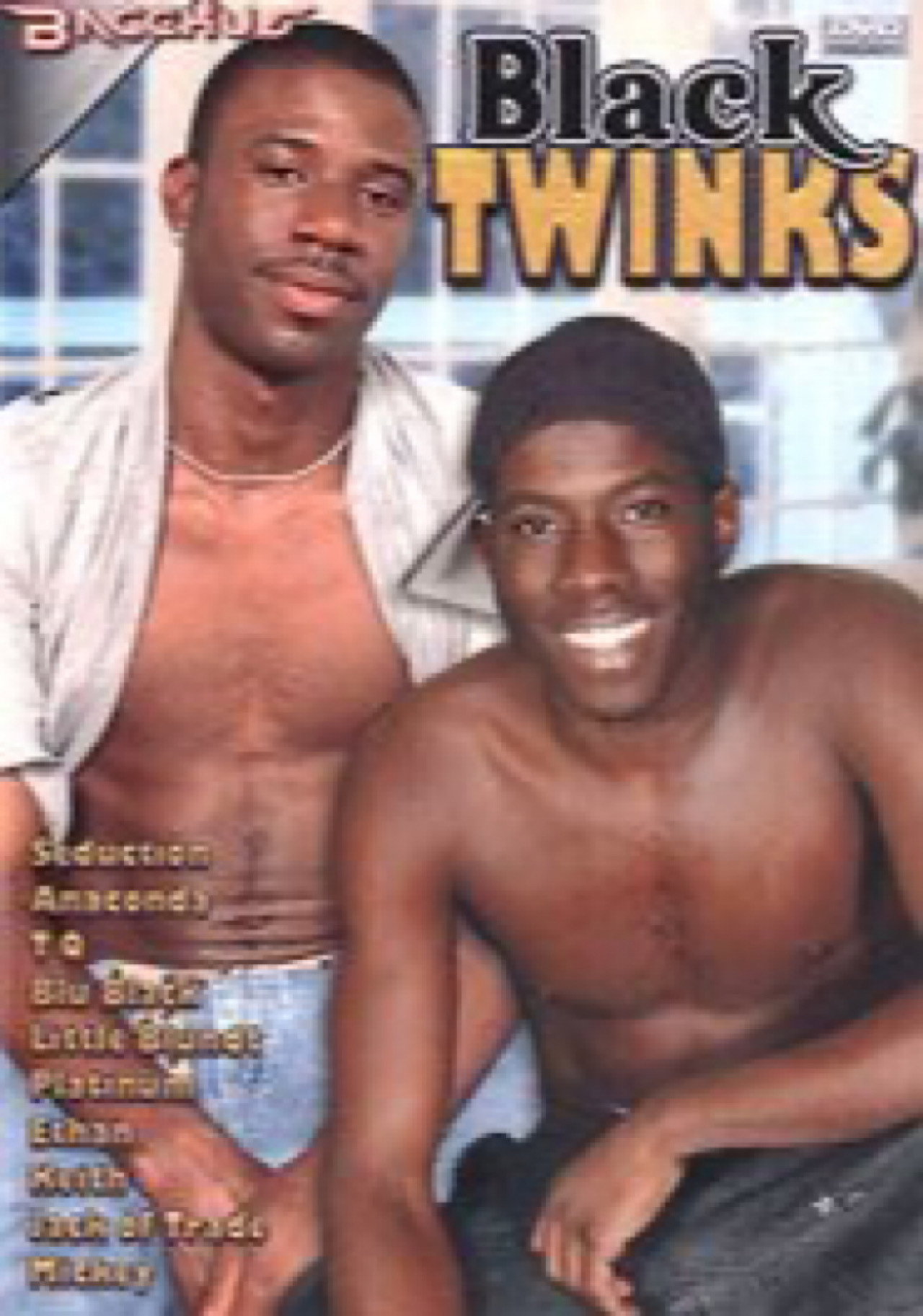 Black Twinks filmaffisch