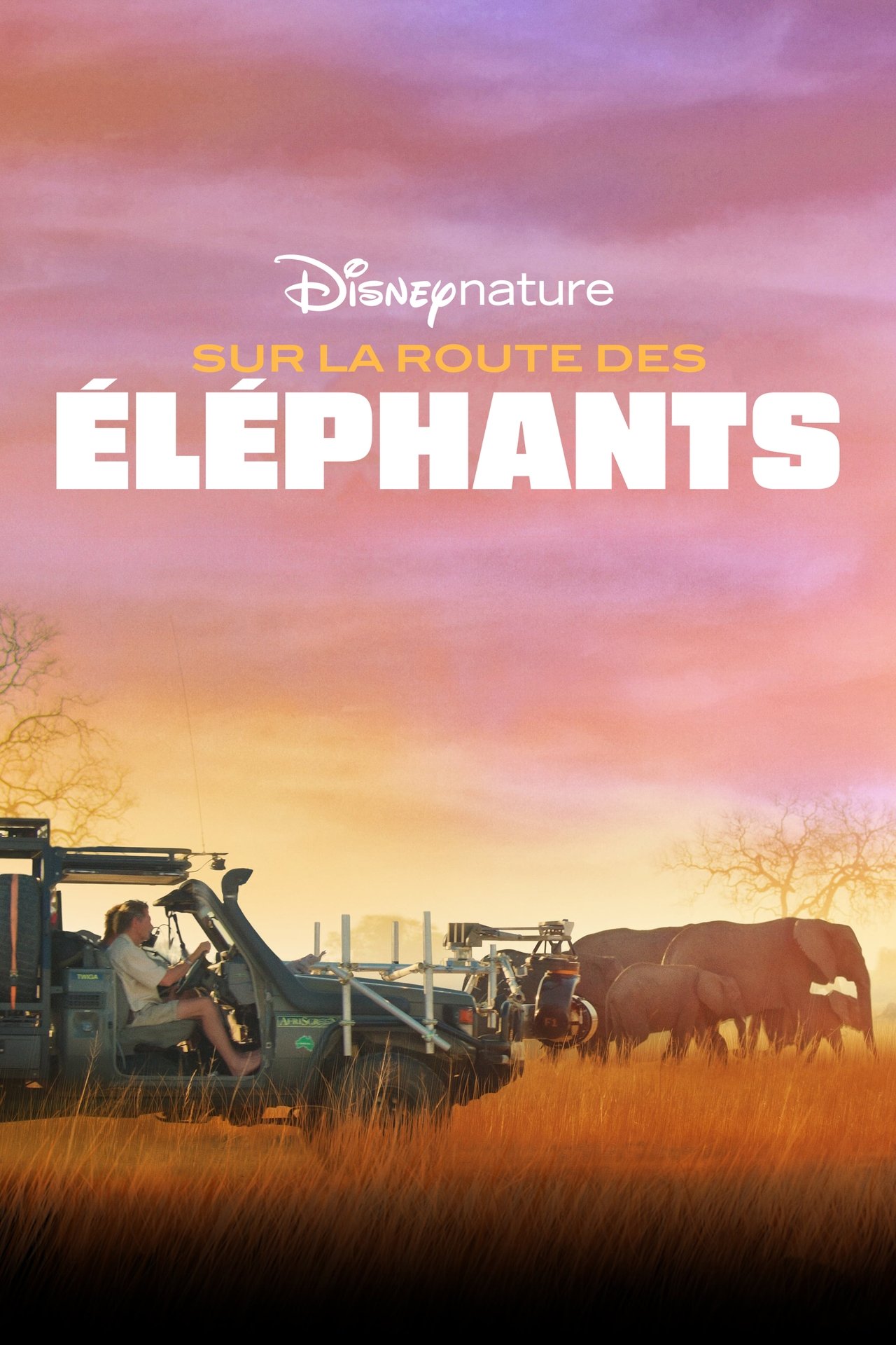 Sur la route des éléphants poster