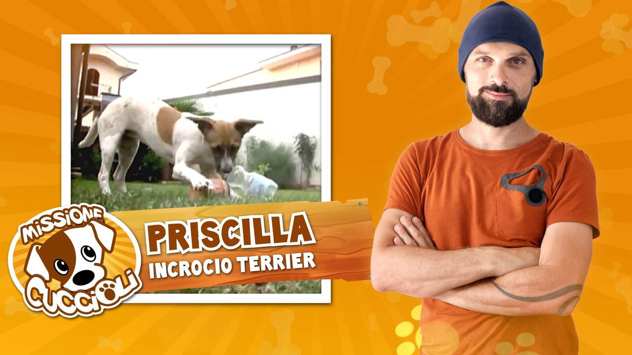 Missione cuccioli — Épisode 10