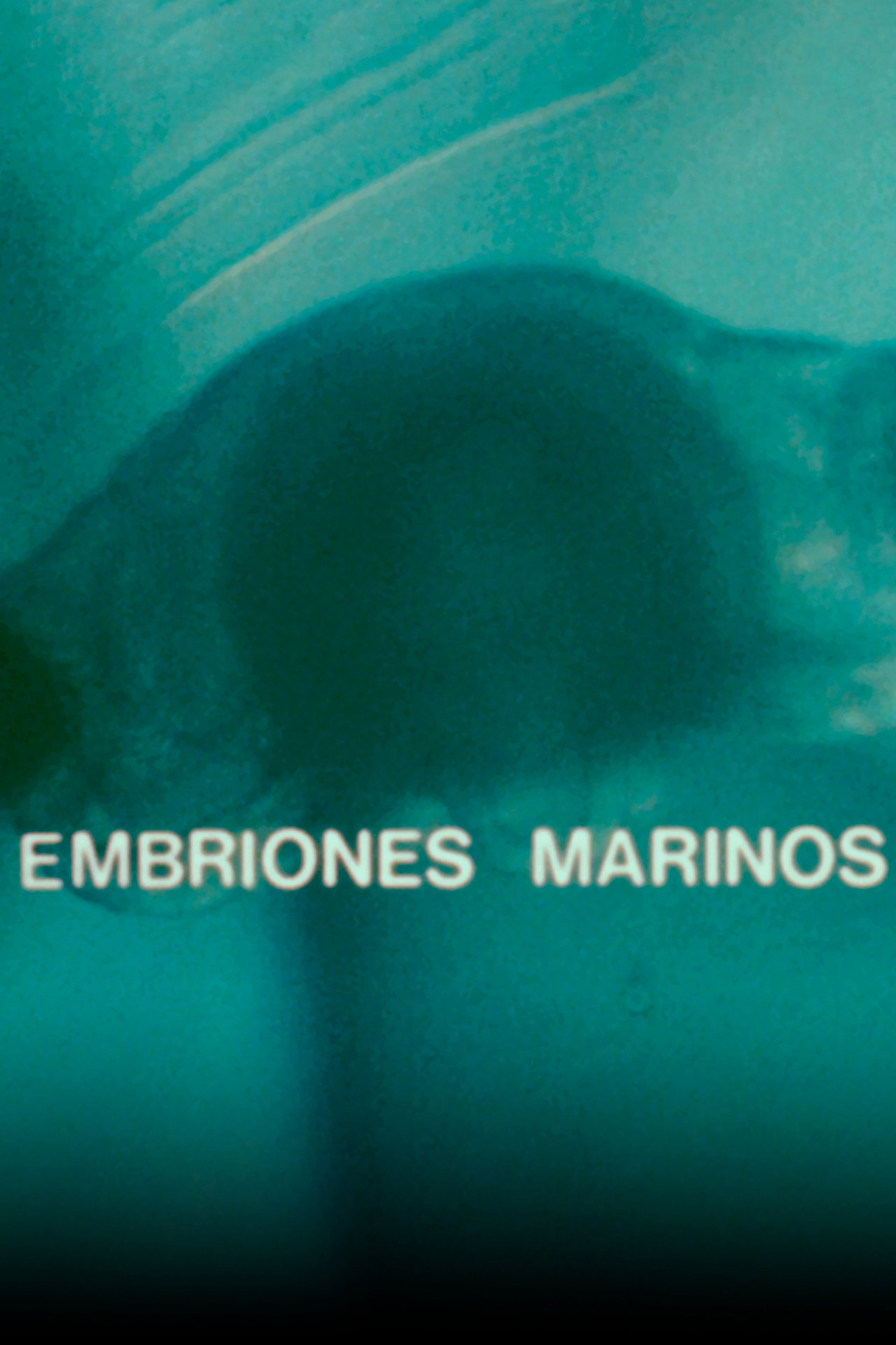 Embriones Marinos