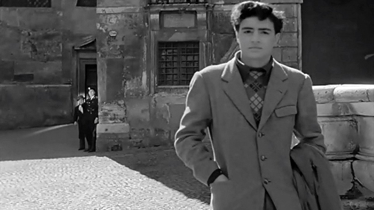 Cops and Robbers backdrop