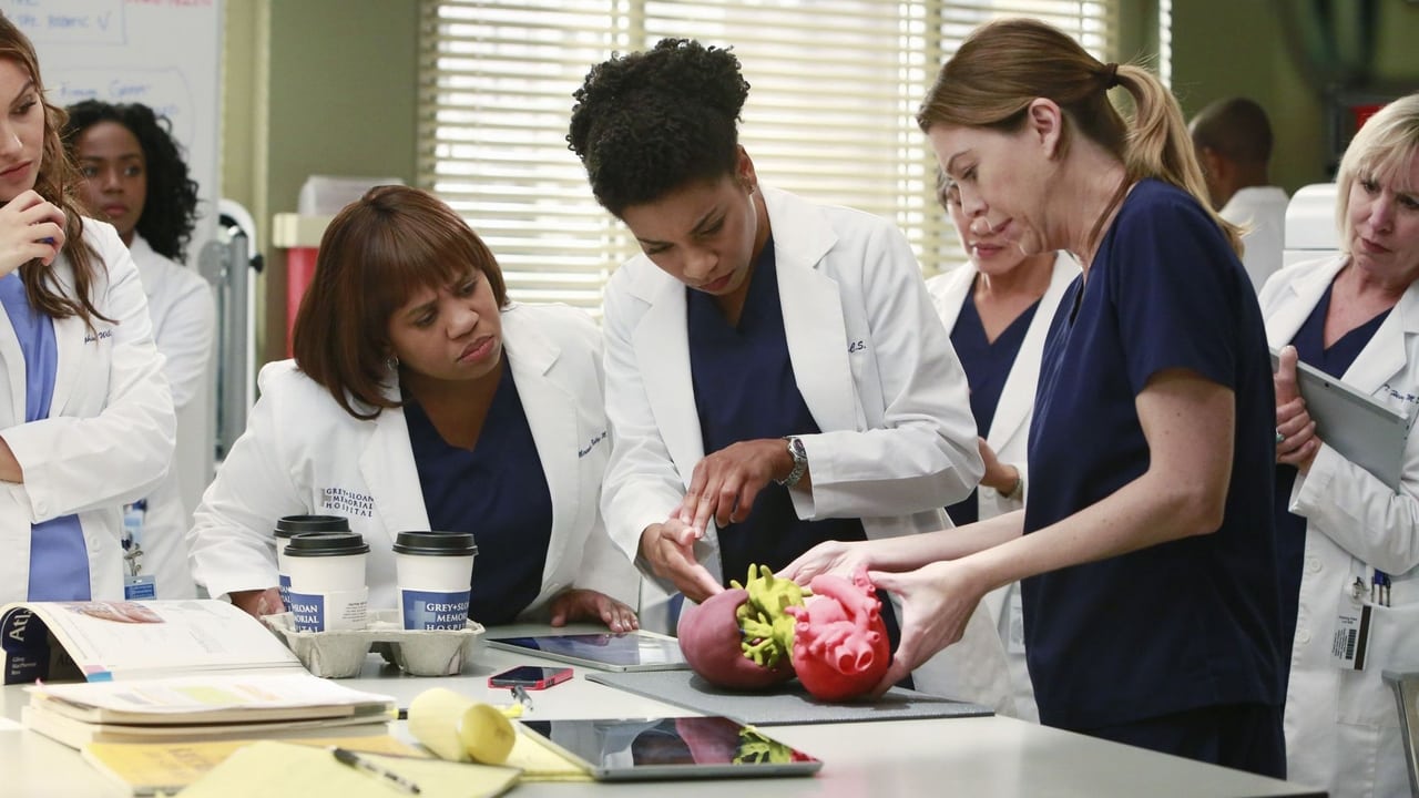 Grey's Anatomy - Season 11 Episode 10 : The Bed's Too Big Without You
