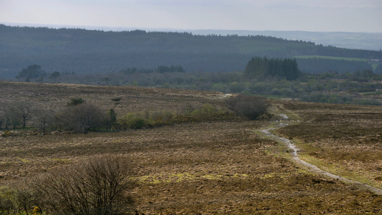 Le Chemin des brumes still 4