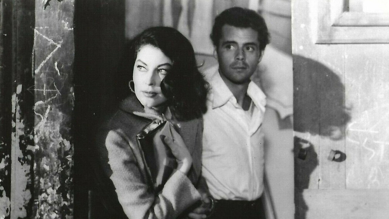 Fondo