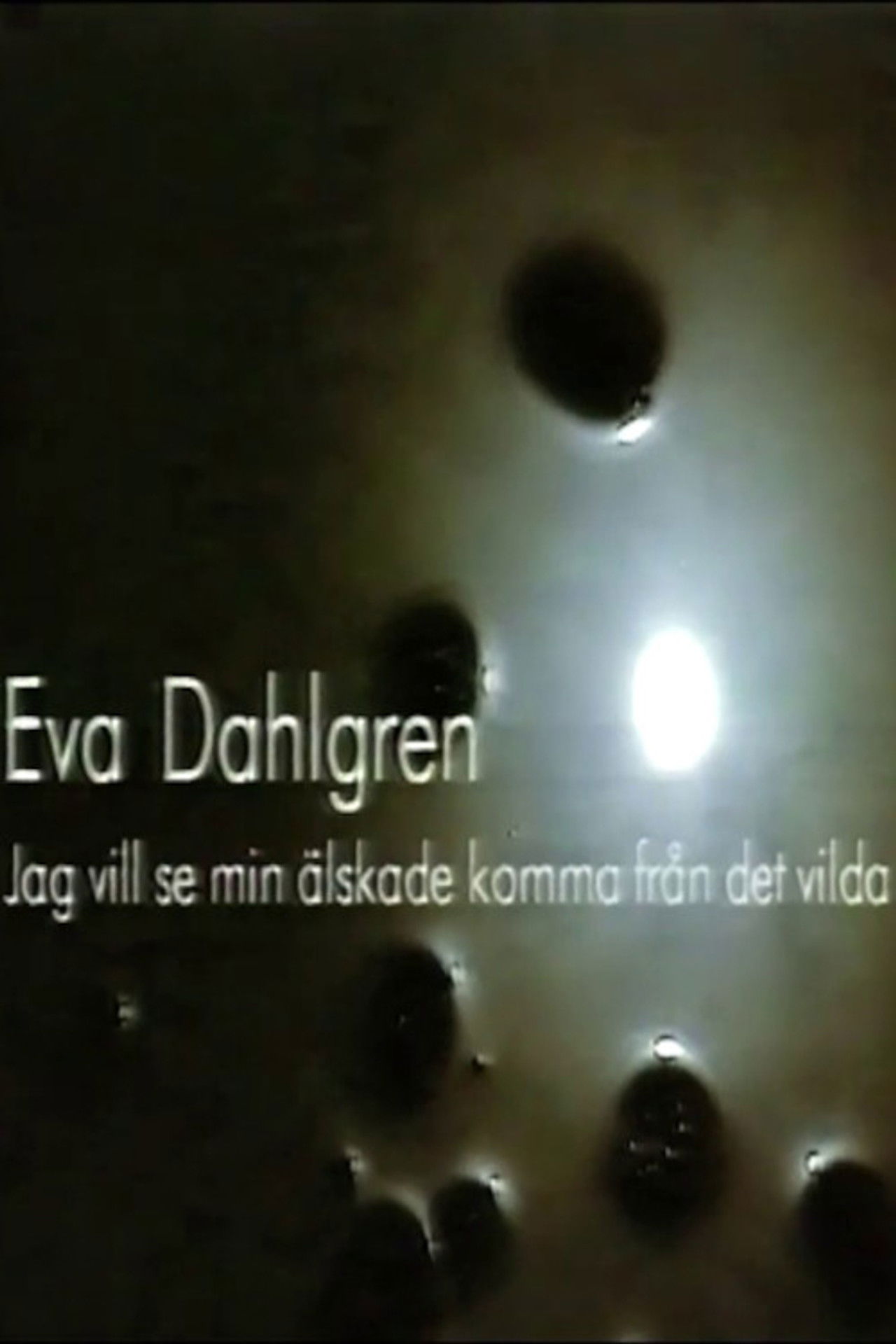 Eva Dahlgren - Jag vill se min älskade komma från det vilda Backdrop