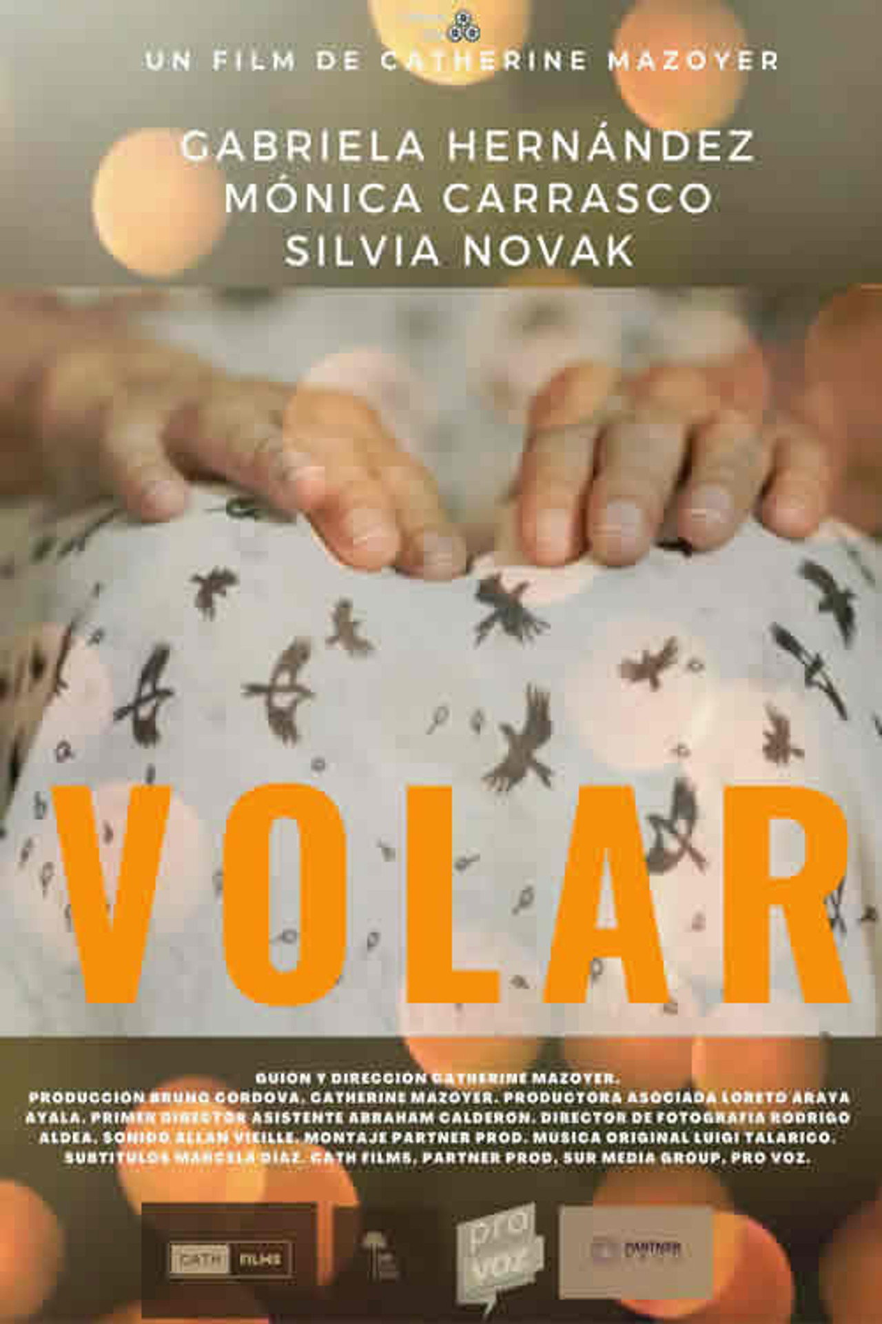 Volar filmaffisch