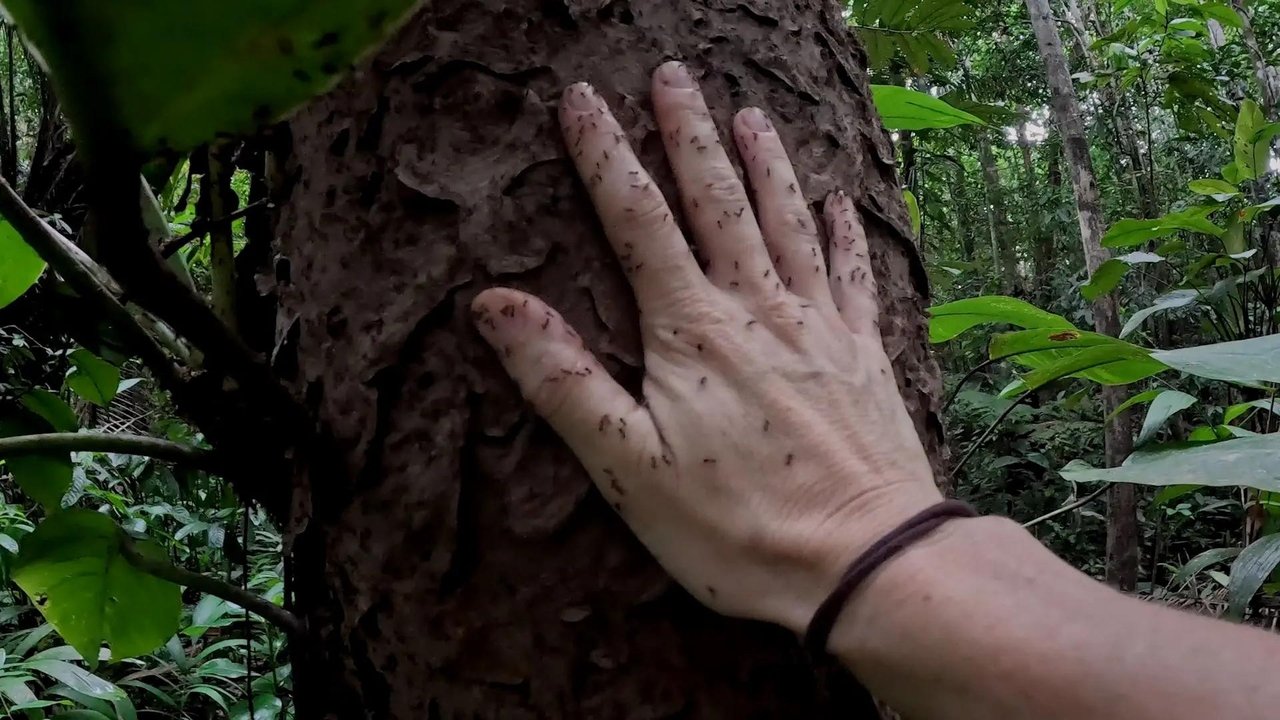 7 vs. Wild - Season 5 Episode 3 : Episode 3