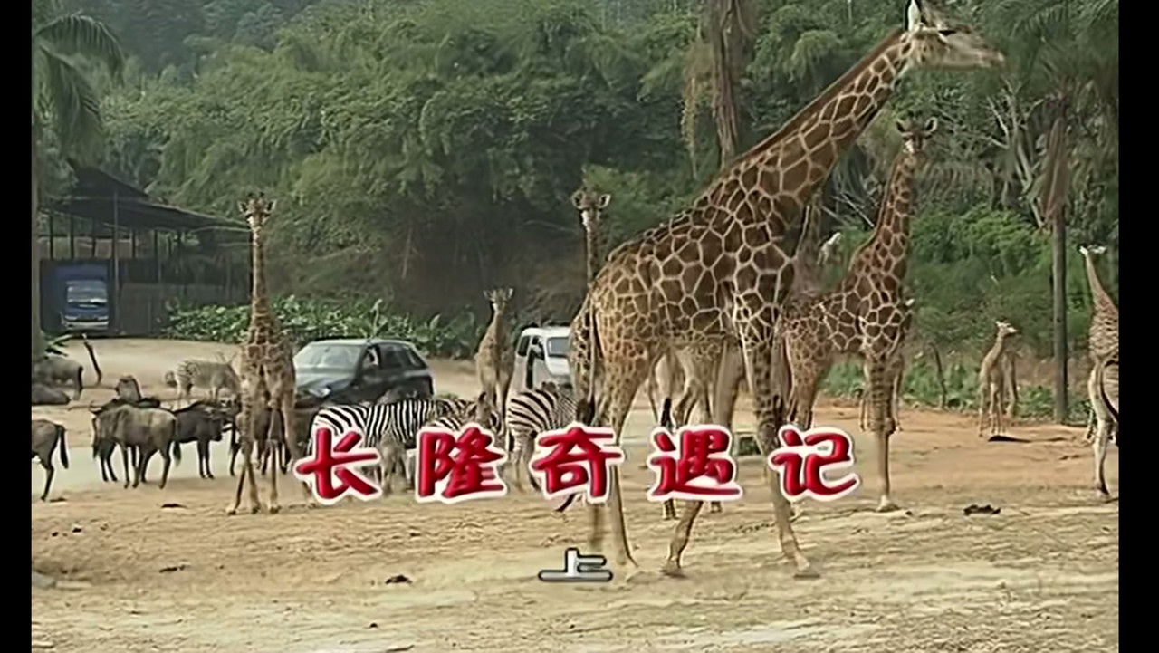 外来媳妇本地郎 — Épisode 1860