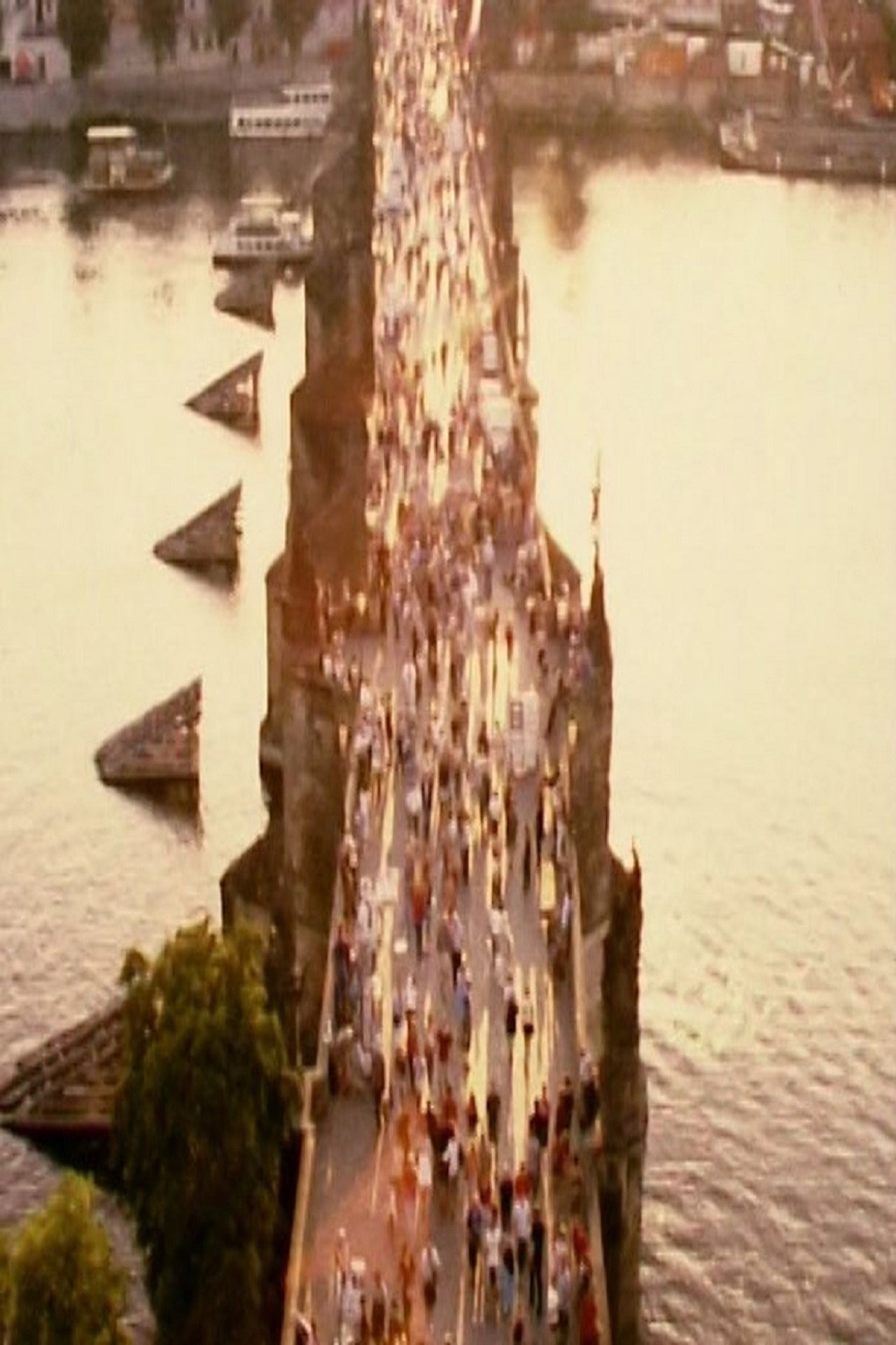 Arquitectura 3: Puente