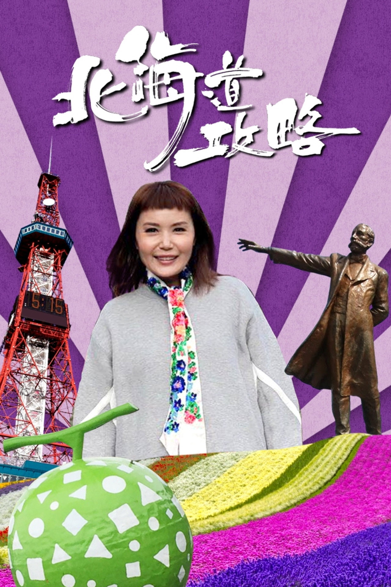 北海道攻略 affisch