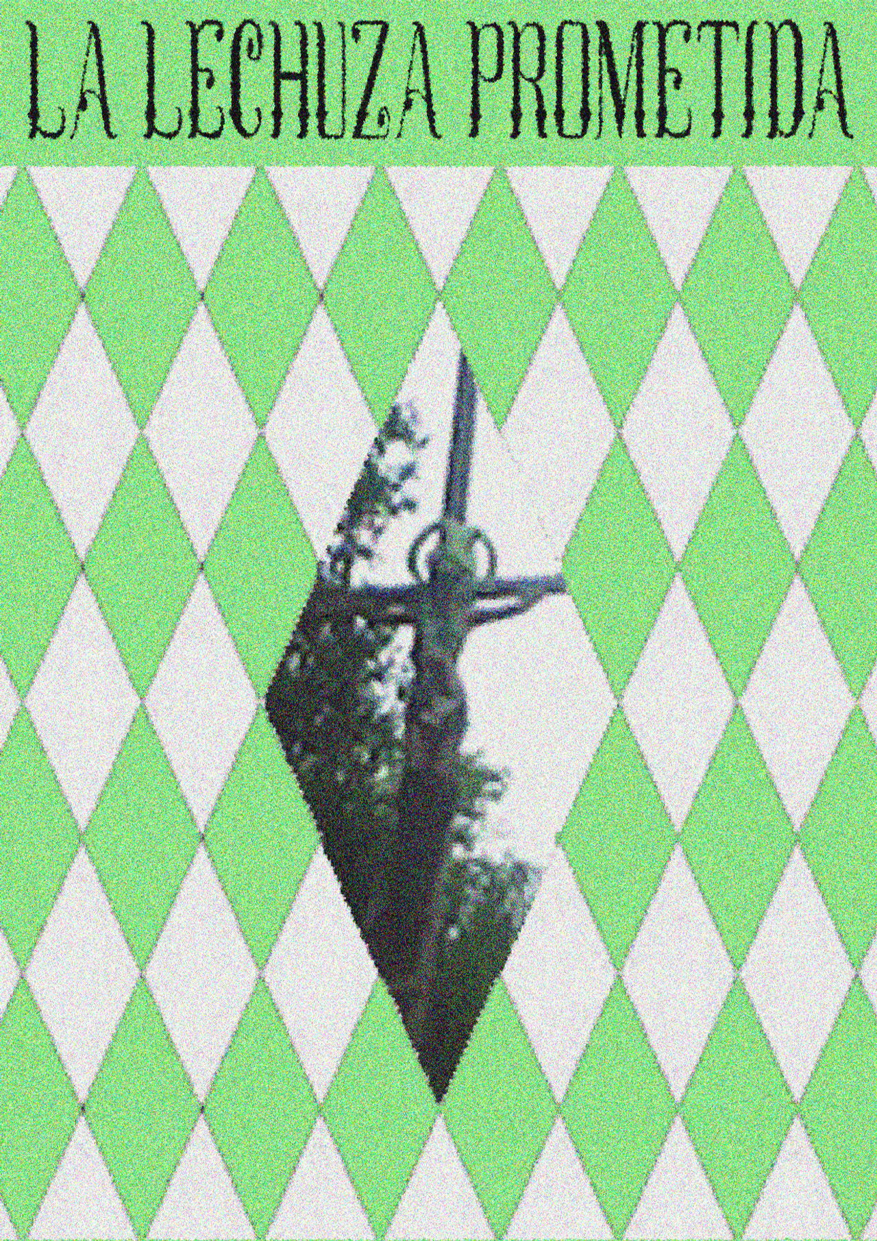 La Lechuza Prometida Backdrop