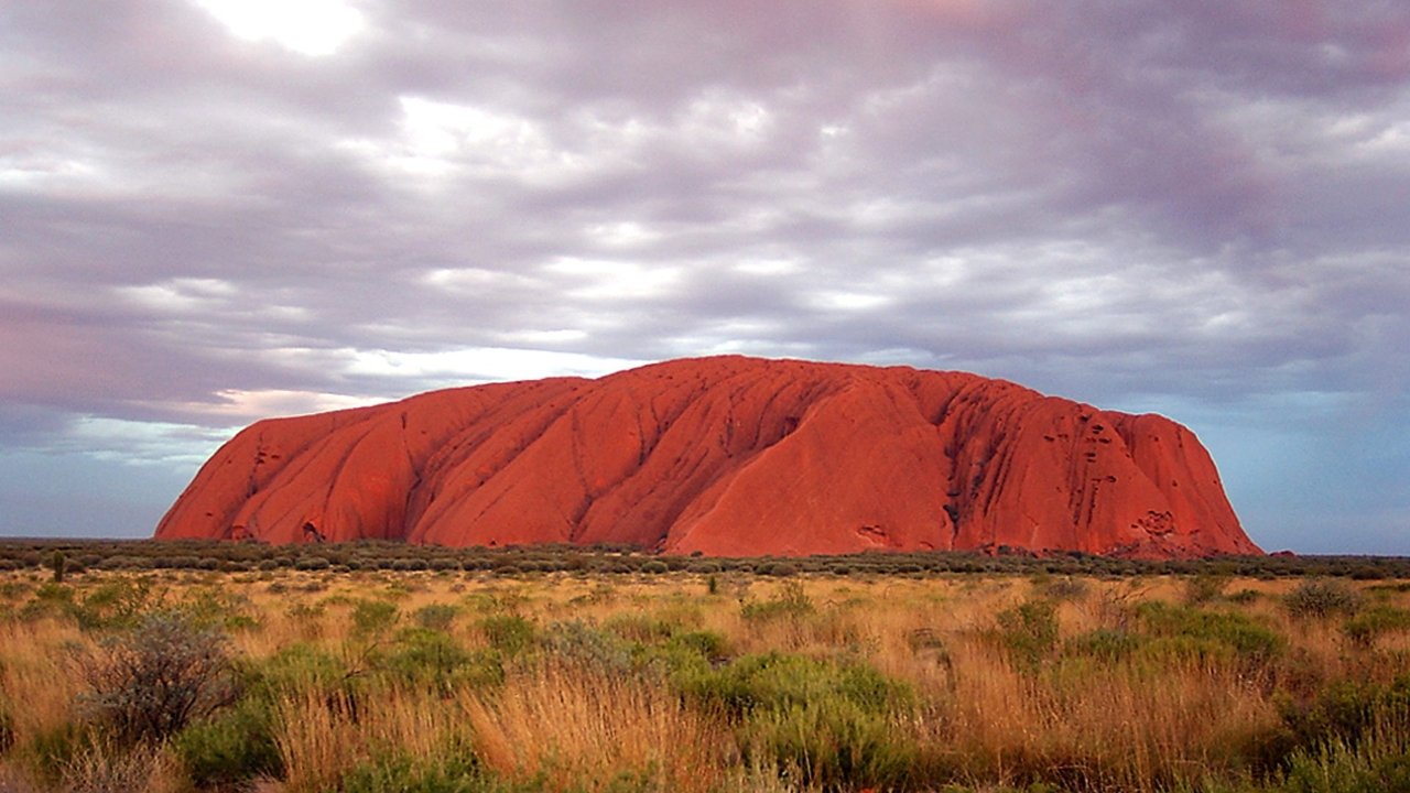 Wild Down Under