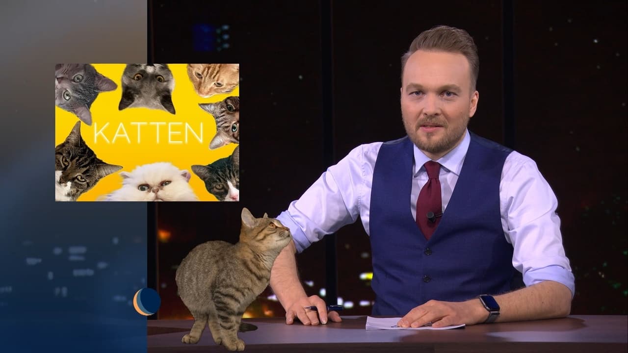 De Avondshow met Arjen Lubach - Season 3 Episode 32 : Cats | Alex Ploeg